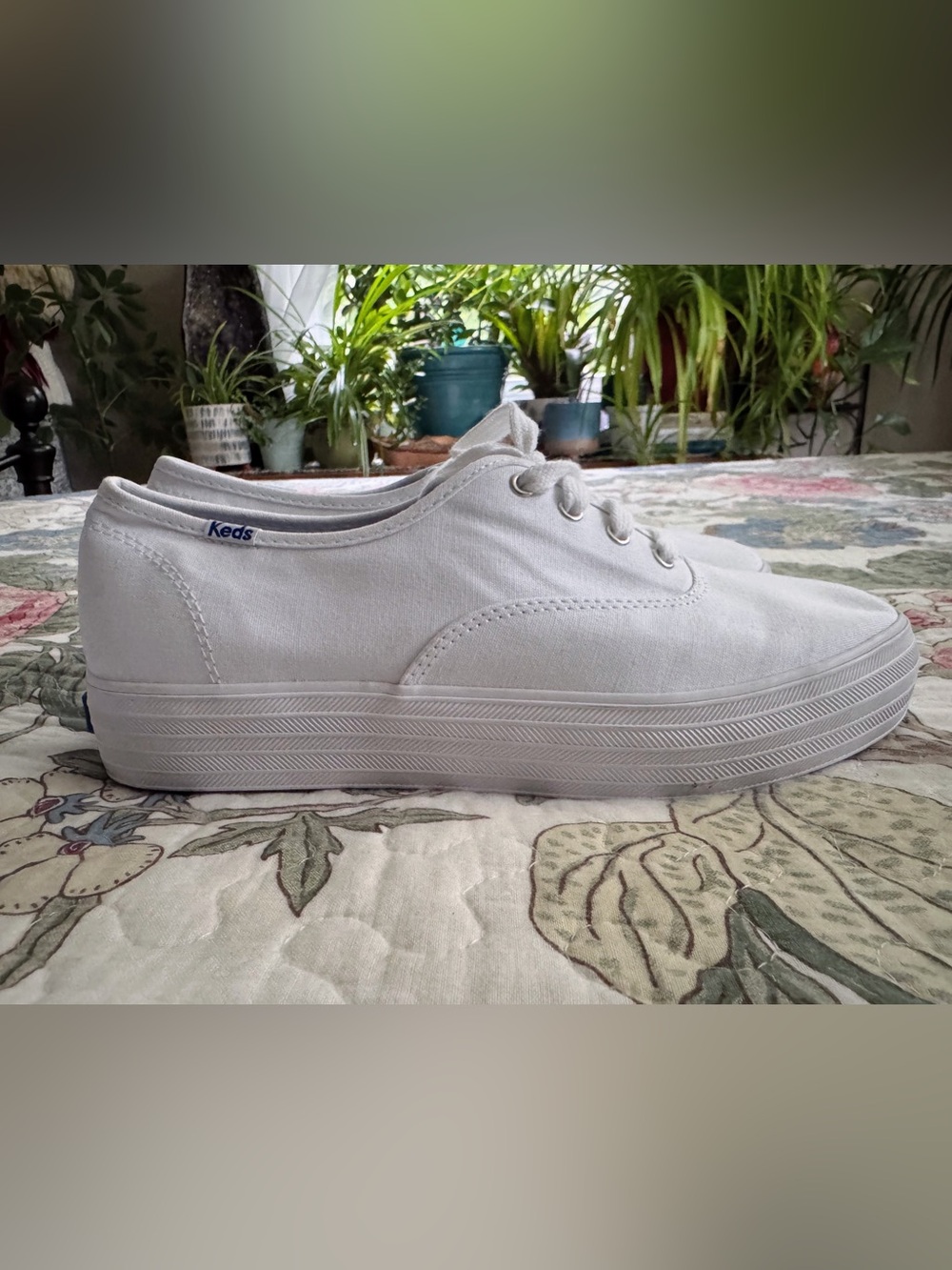 Keds Triple Platform Canvas Sneakers - White